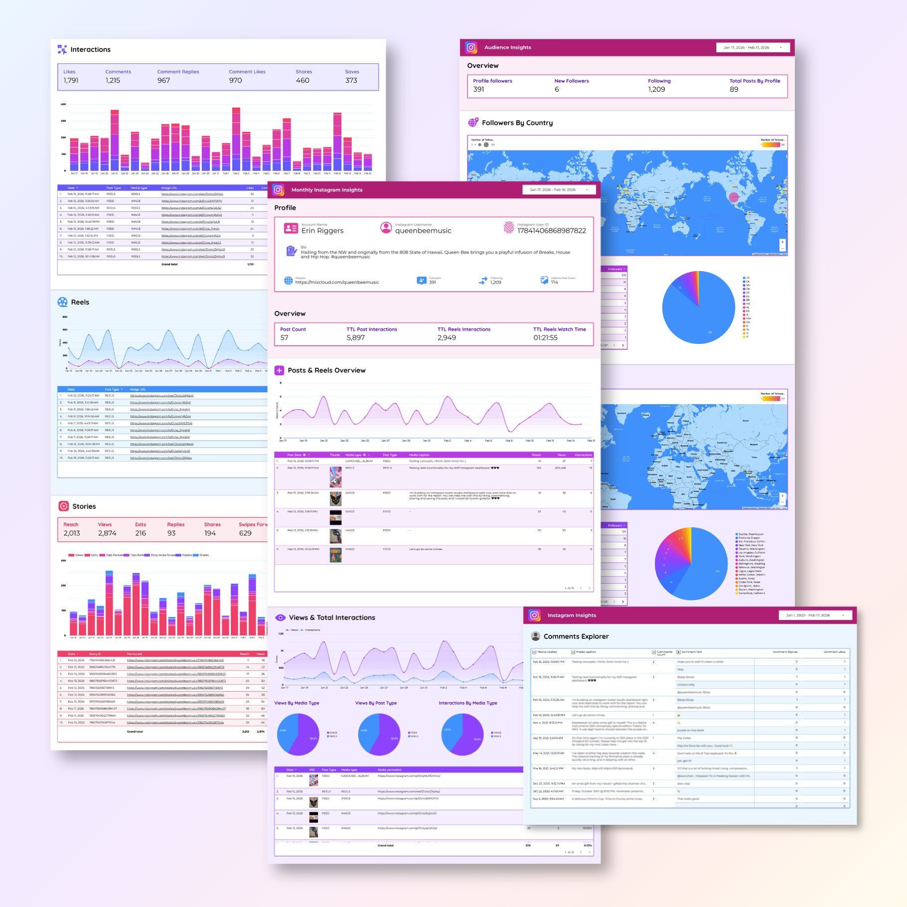 Instagram Insights Looker Studio Dashboard - Queen Bee Digital Data Viz