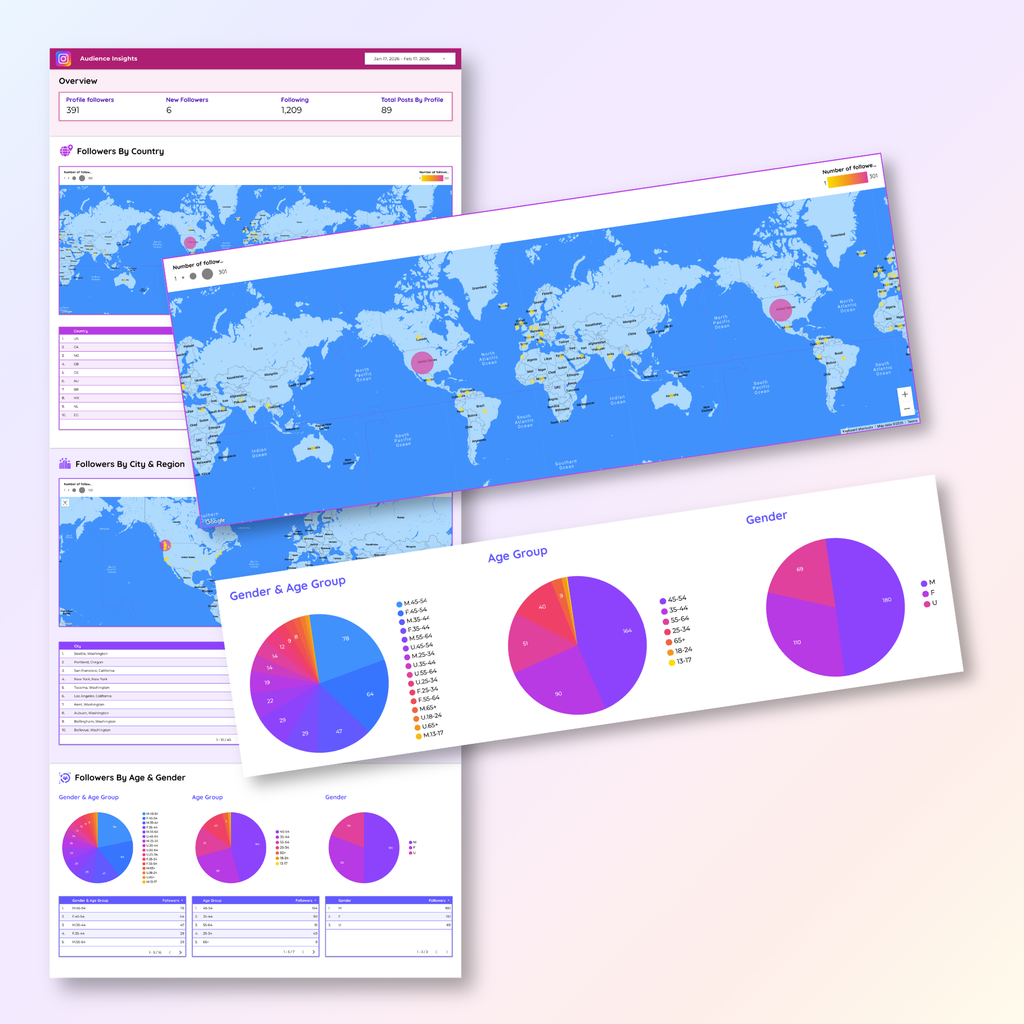 Instagram Insights Looker Studio Dashboard - Queen Bee Digital Data Viz