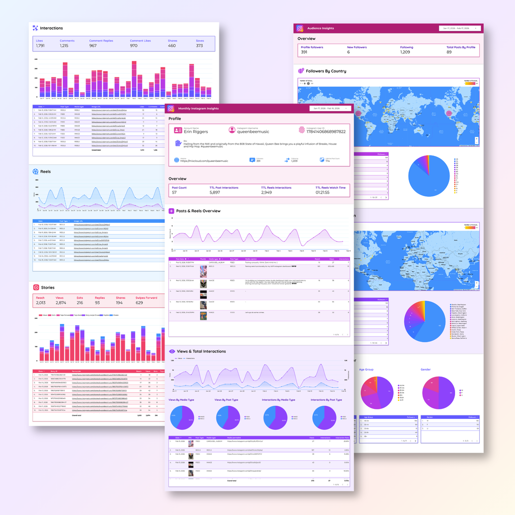 Instagram Insights Looker Studio Dashboard - Queen Bee Digital Data Viz