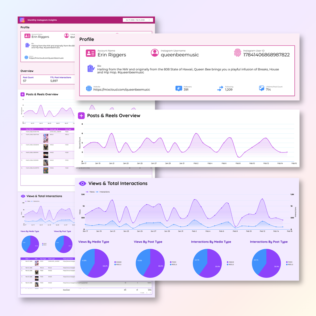 Instagram Insights Looker Studio Dashboard - Queen Bee Digital Data Viz