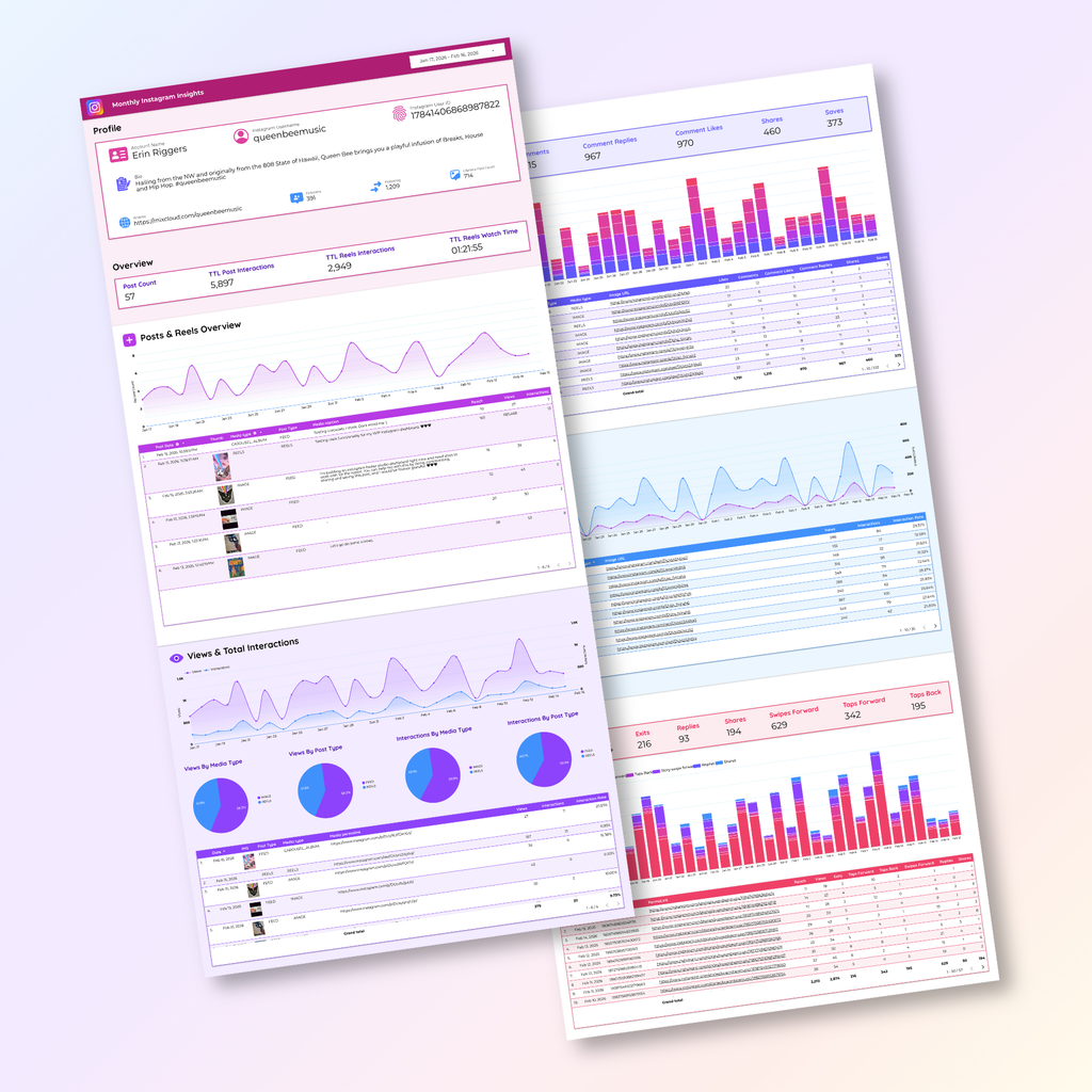 Instagram Insights Looker Studio Dashboard - Queen Bee Digital Data Viz