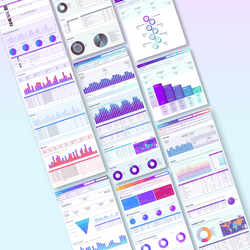 Ultimate Agency Looker Studio Dashboard Pack - Elevate Your Analytics Game - Queen Bee Digital Data Viz